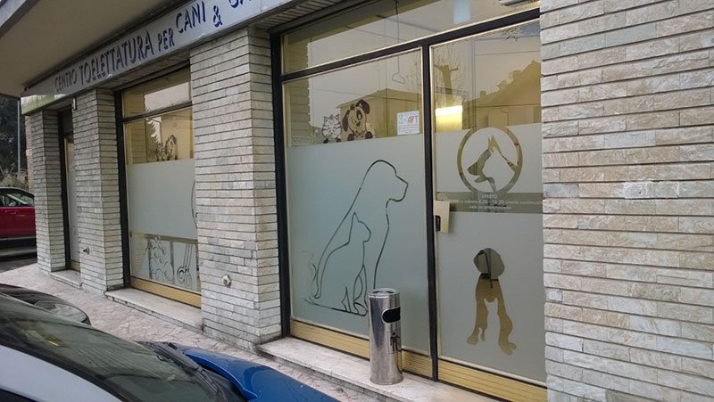 Centro Toelettatura snc - Foto 4