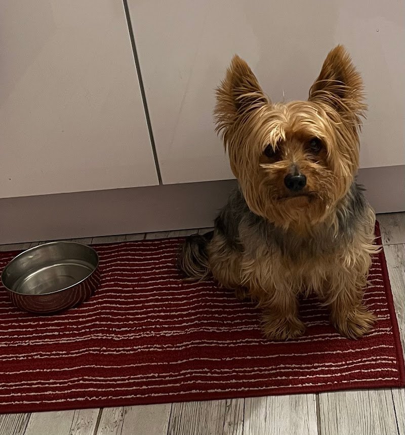 Che Cagnara - Foto 1