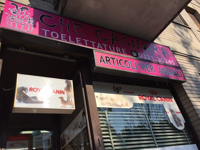 Che Cagnara - Foto 4