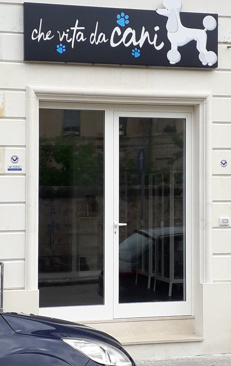 Che Vita da Cani - Foto 1