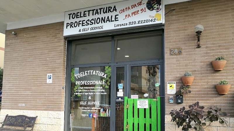 Chi Fa Da Sè Fa Per 3! Toelettatura Professionale & Self Service - Foto 1