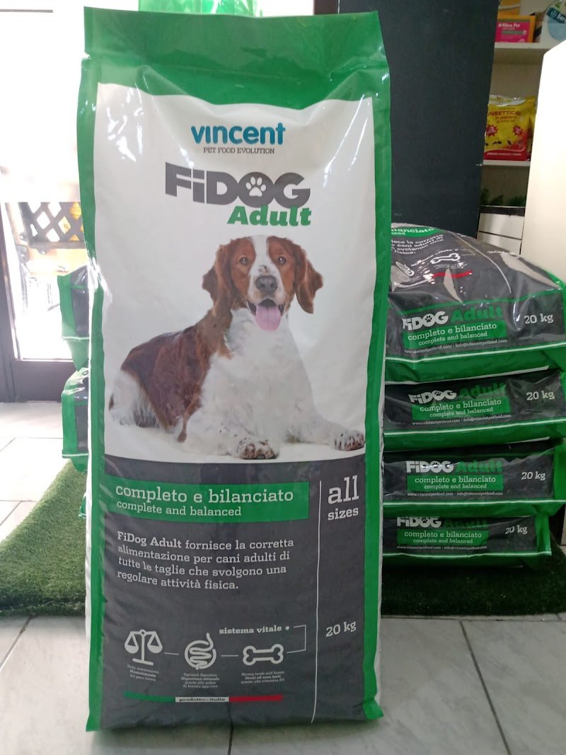 Chic dog di Anna Consiglio - Foto 4