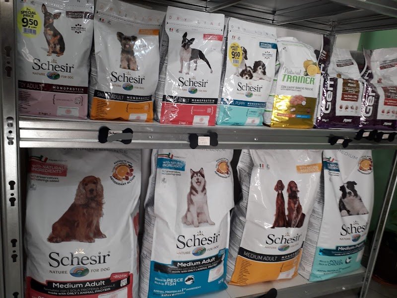 Chic dog di Anna Consiglio - Foto 6