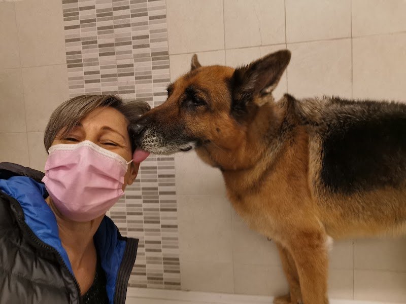 Chic my Dog - Foto 4