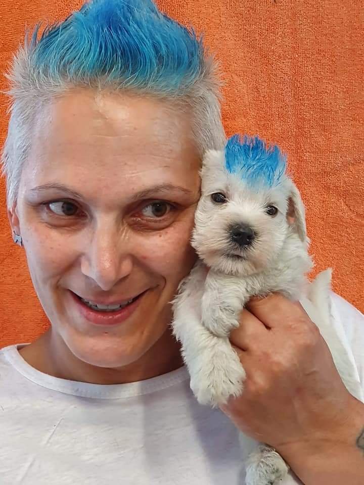 Ciak si taglia di Surian Michela Schnauzer - Foto 4