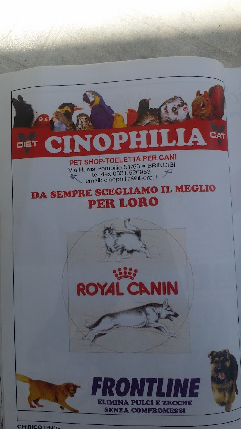 Cinophilia - Foto 6