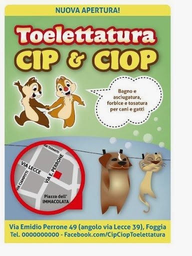 Cip & Ciop Toelettatura cani e gatti - Foto 3