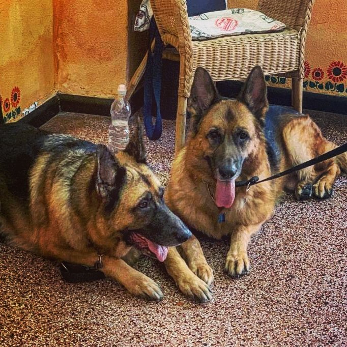 Ciuffi ribelli - Foto 4