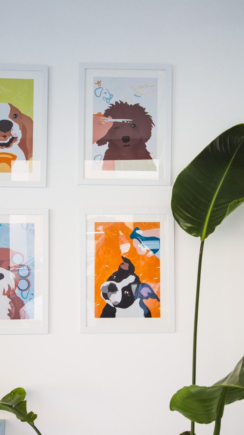 Claire di Mele Valentina - Foto 5