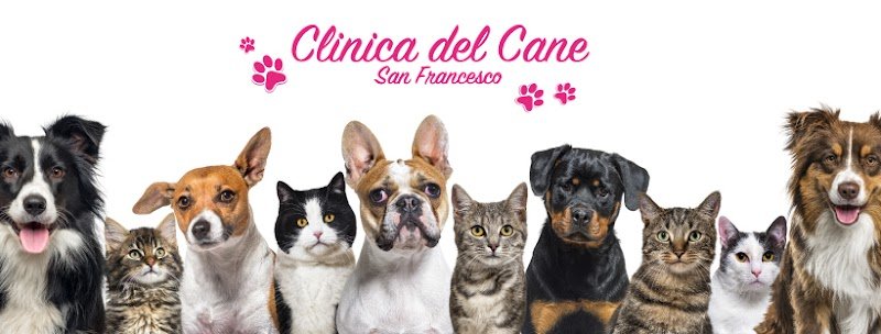 Clinica del Cane "San Francesco" | Servizi per cani e gatti - Foto 1