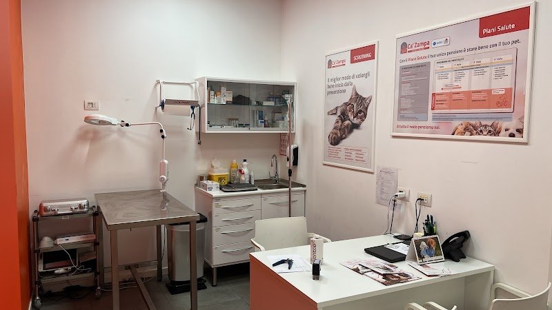 Clinica Veterinaria Ca' Zampa Cremona - Foto 6