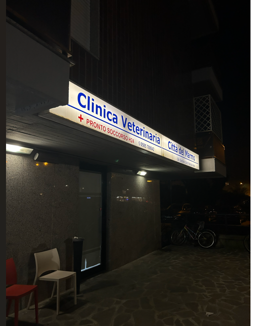 Clinica Veterinaria Citta' del Marmo Pronto Soccorso 24h - Foto 1