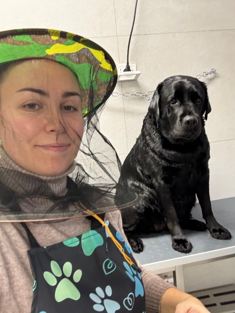 CLUB DOG TOELETTATURA di MEDRI VERONICA - Foto 4