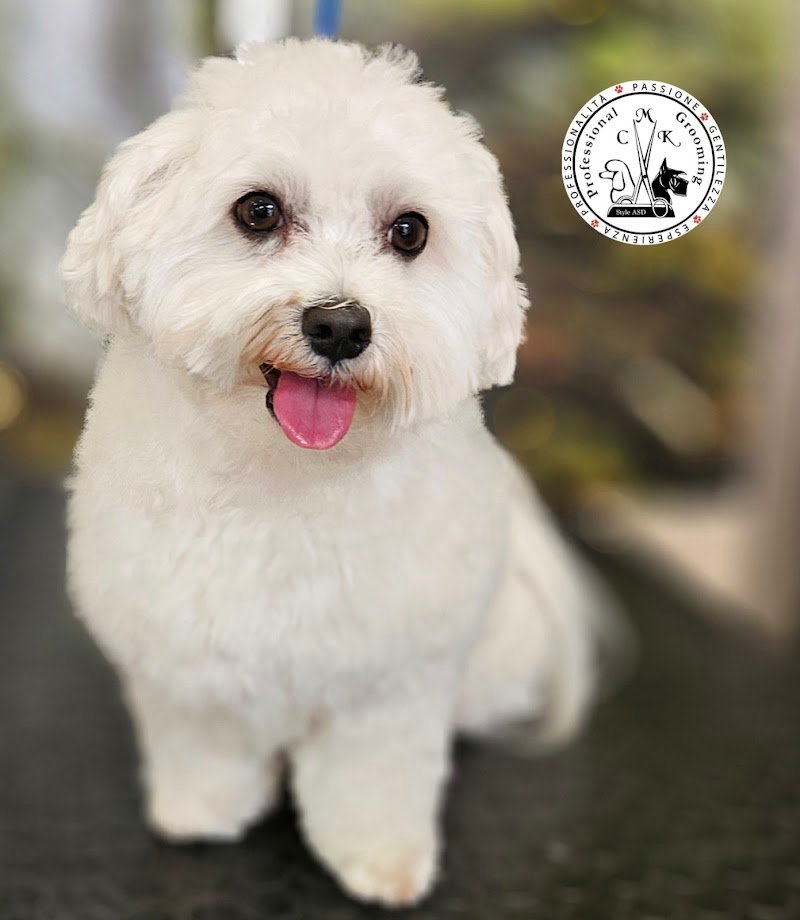 CMK PROFESSIONAL GROOMING STYLE ASD - Foto 1