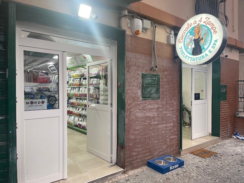 Coccole a 4 Zampe - Foto 1