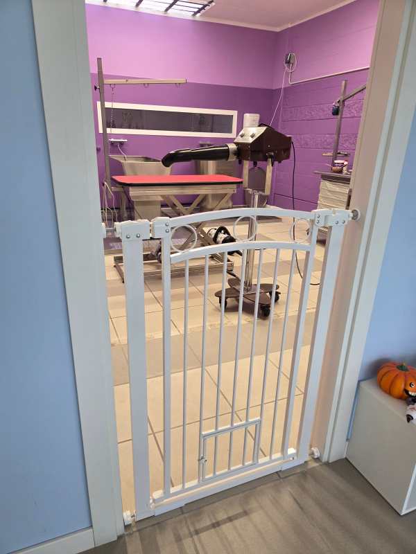 Coccole di Sapone - Foto 3