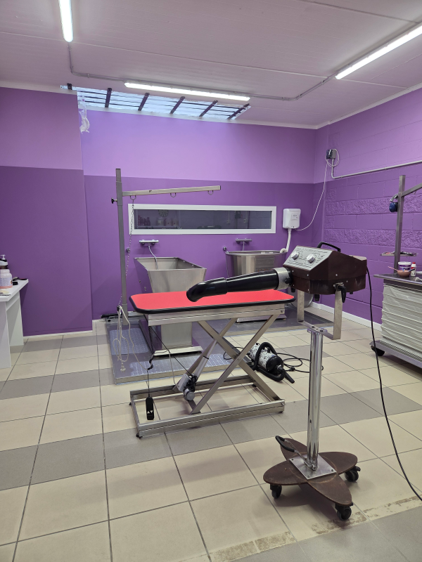 Coccole di Sapone - Foto 4