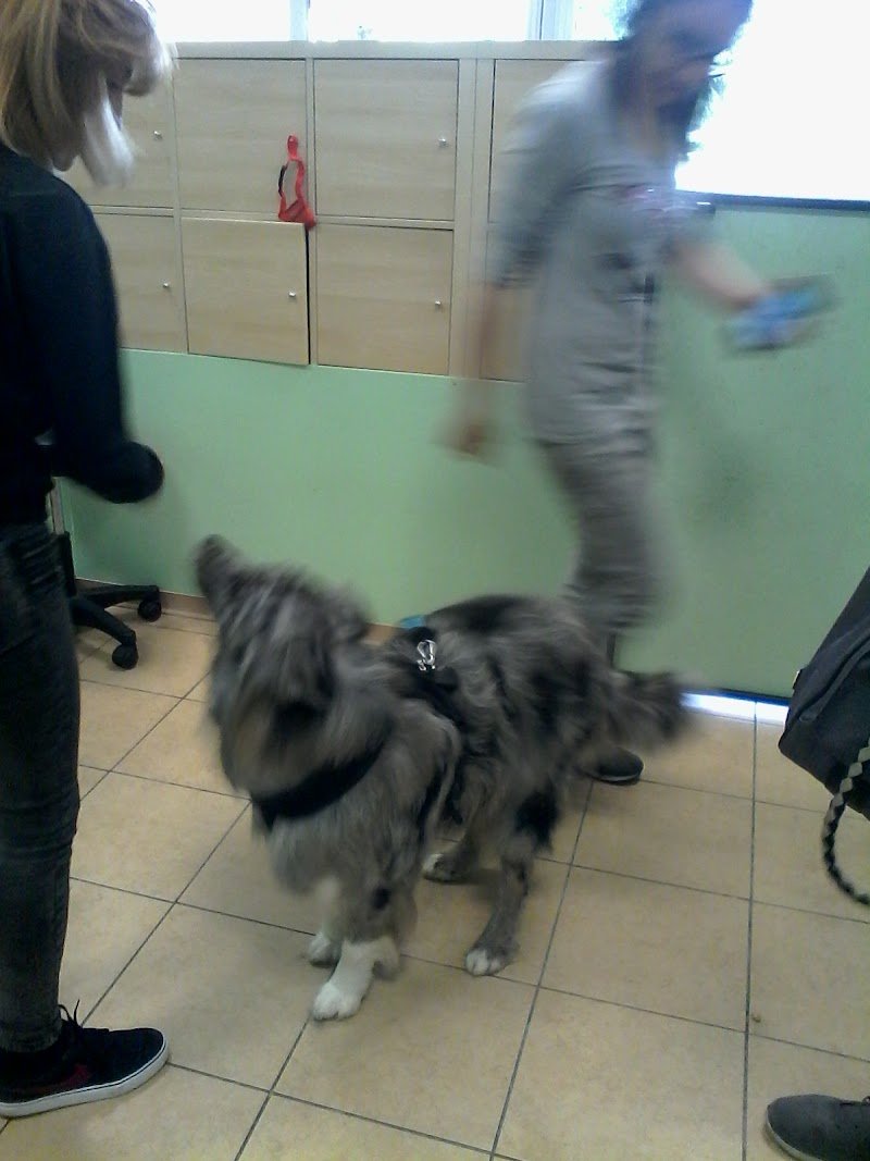 Coccole di Sapone - Foto 1