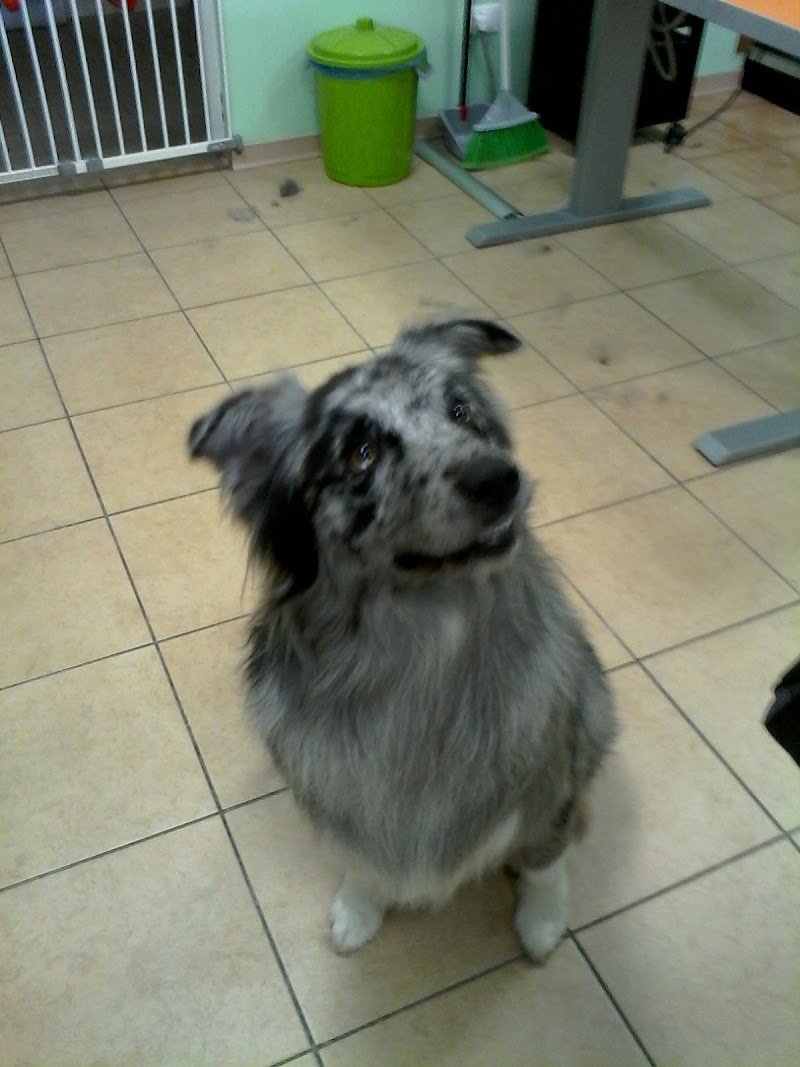 Coccole di Sapone - Foto 3