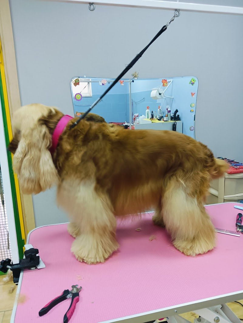 Coccole&carezze - Foto 2