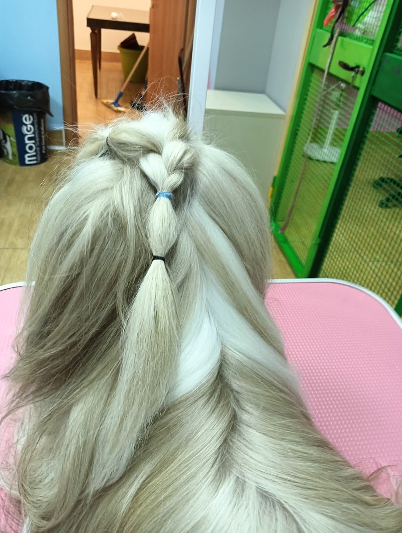 Coccole&carezze - Foto 5