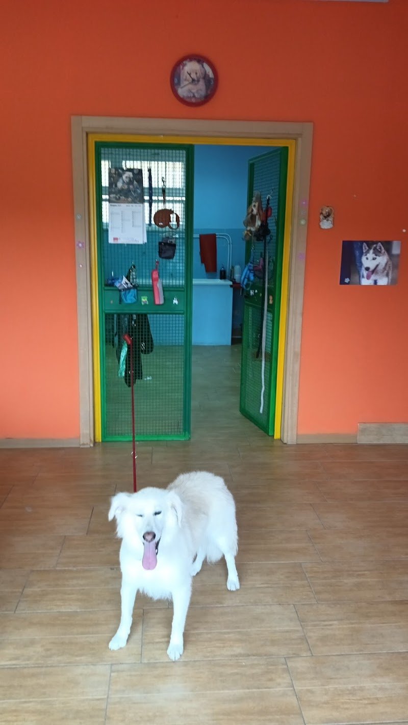 Coccole&carezze - Foto 6