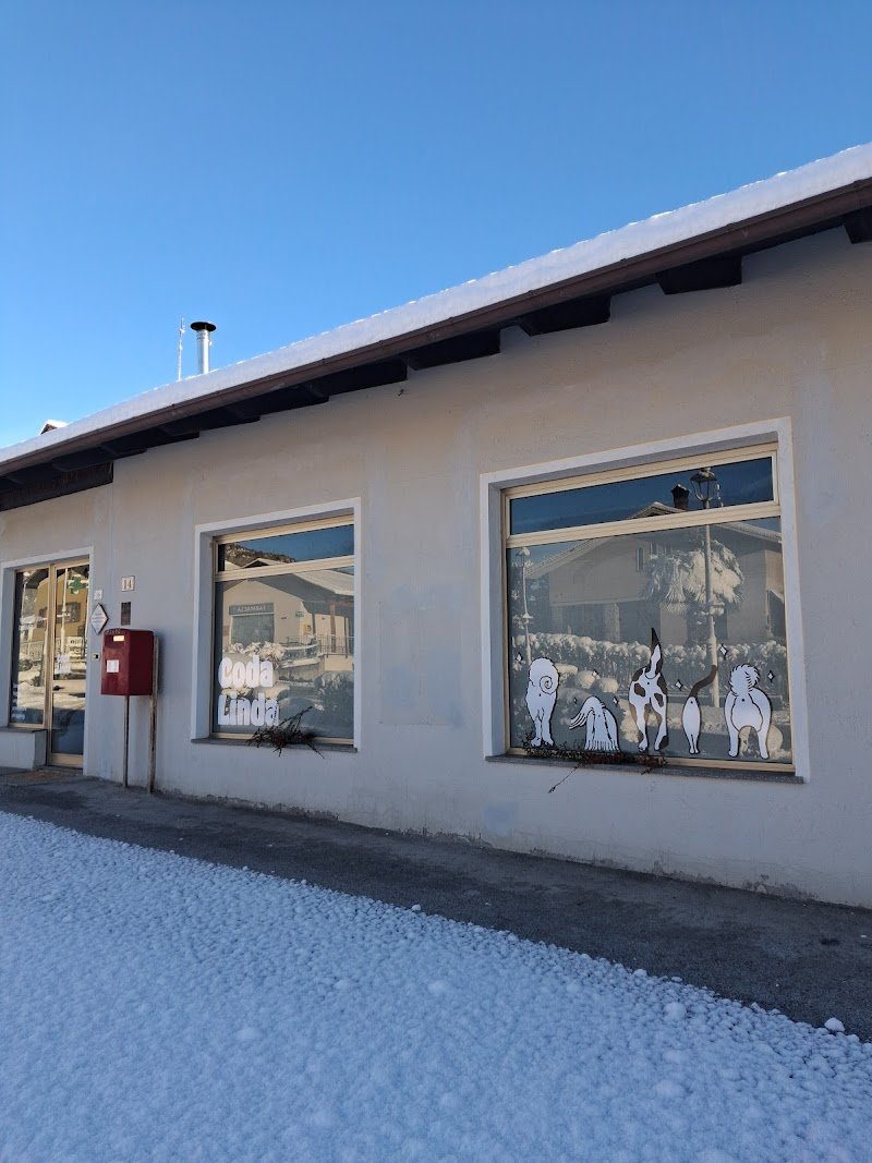 CodaLinda Toelettatura - Foto 3