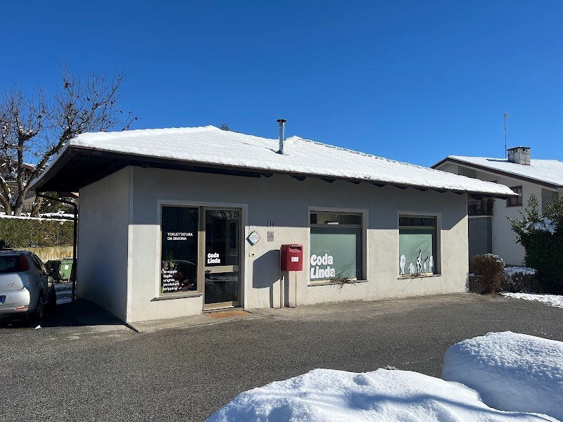 CodaLinda Toelettatura - Foto 4