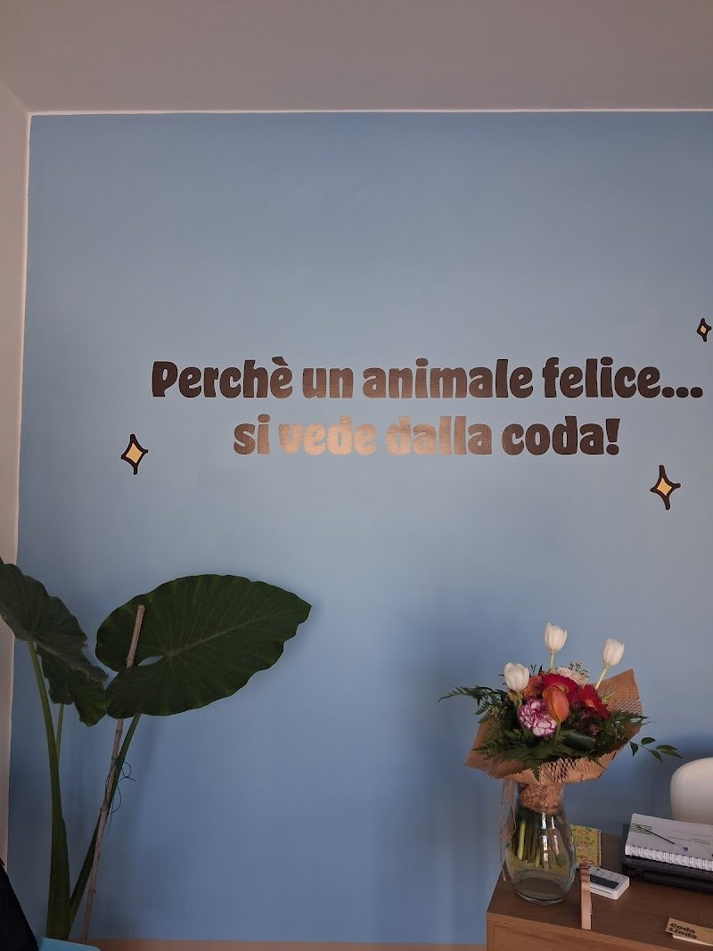 CodaLinda Toelettatura - Foto 5