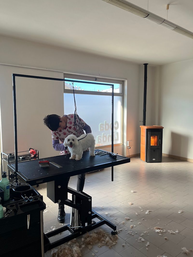 CodaLinda Toelettatura - Foto 6