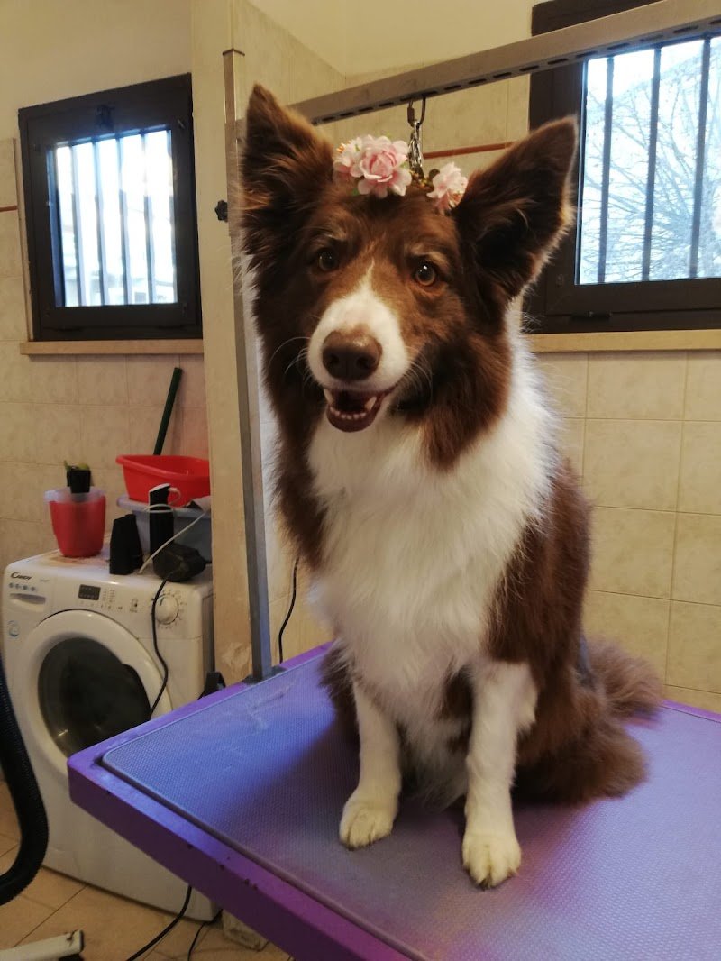 Code Allegre - Foto 4