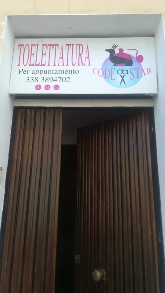 Code da Star - Foto 1