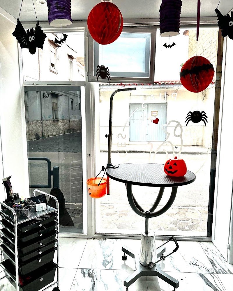 Code e Coccole - Foto 2