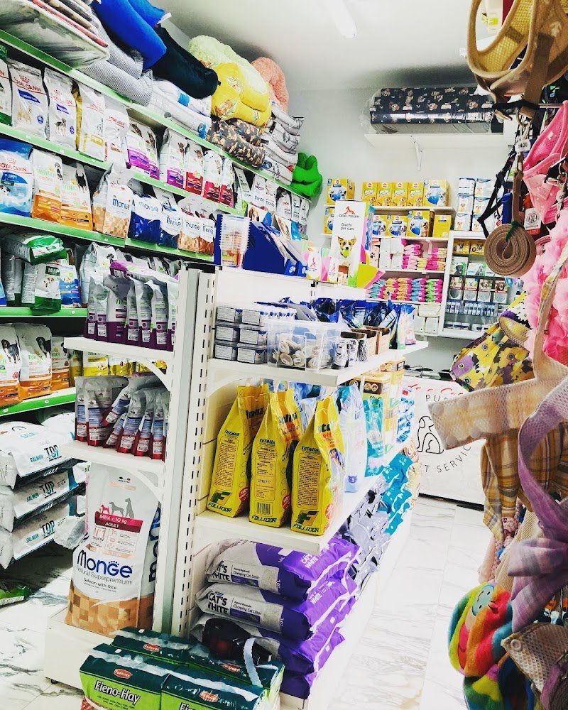 Code e Coccole - Foto 4