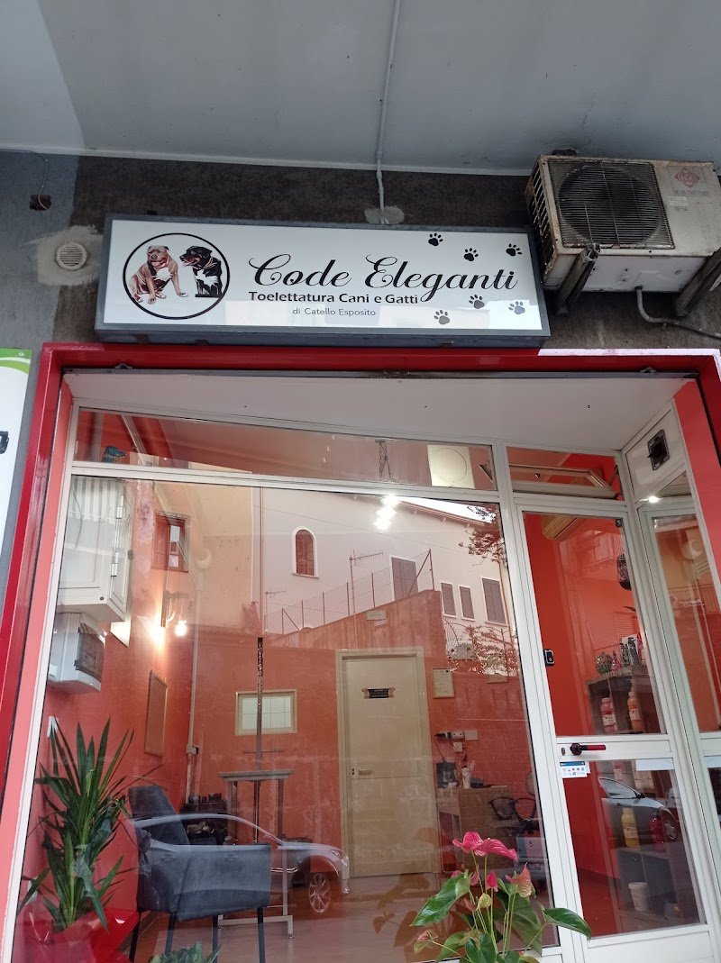 Code Eleganti - Foto 1