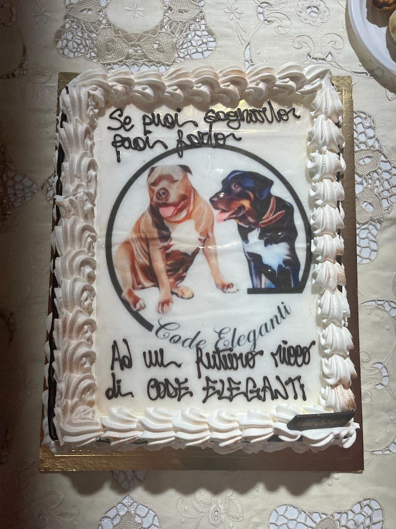 Code Eleganti - Foto 2