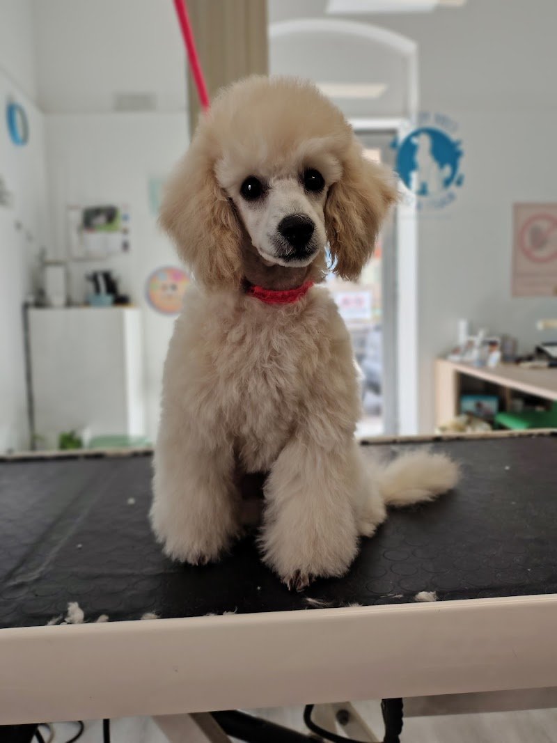 Code Felici Beauty & SPA - Foto 1