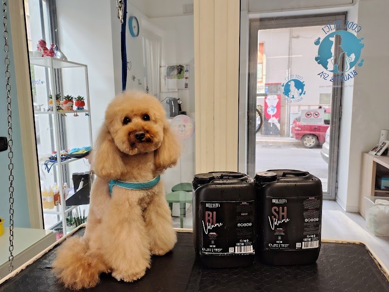 Code Felici Beauty & SPA - Foto 2