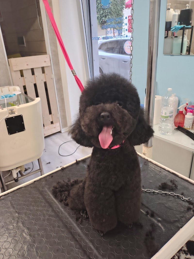 Code Felici Beauty & SPA - Foto 5