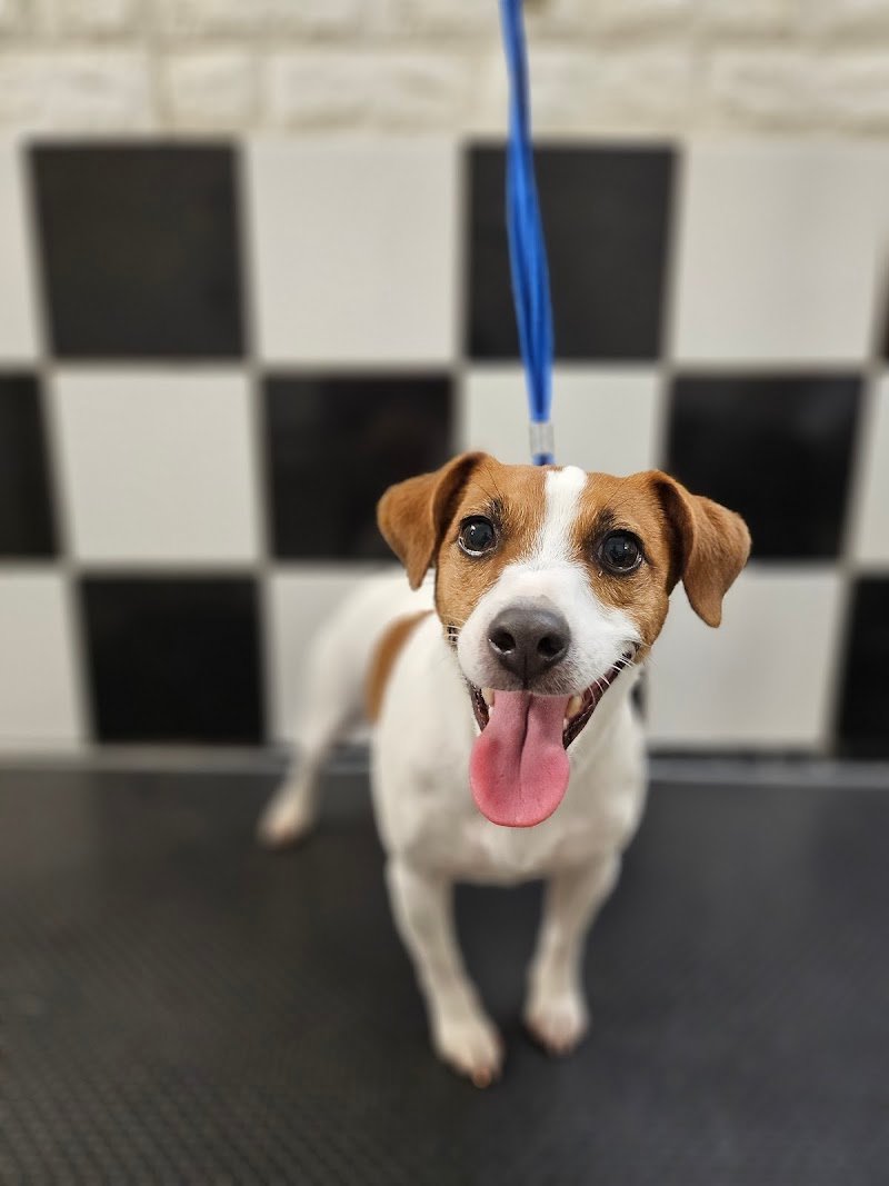 Code Profumate - Foto 1