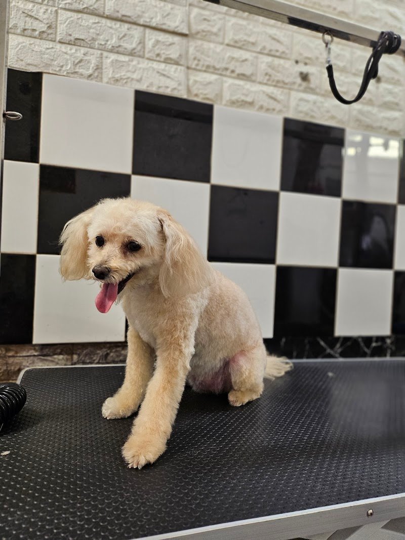 Code Profumate - Foto 3