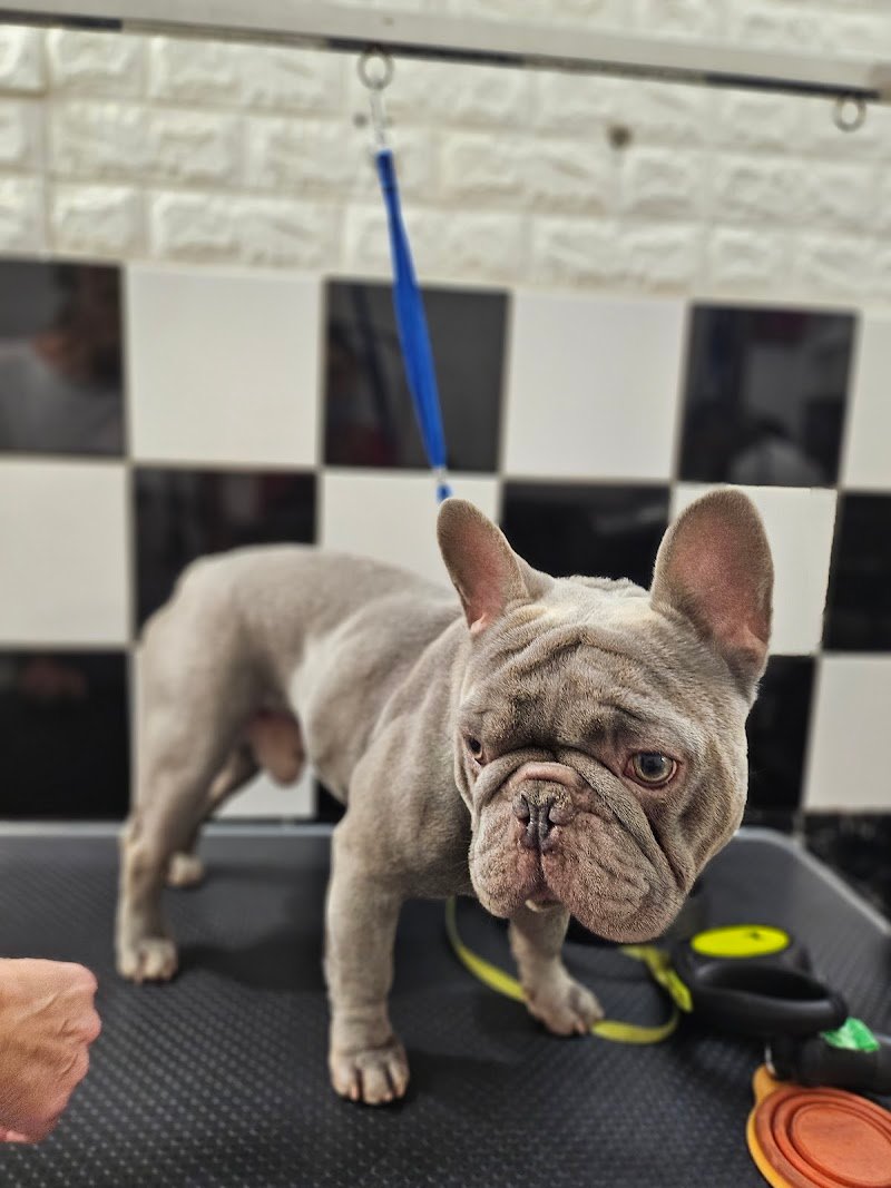 Code Profumate - Foto 4