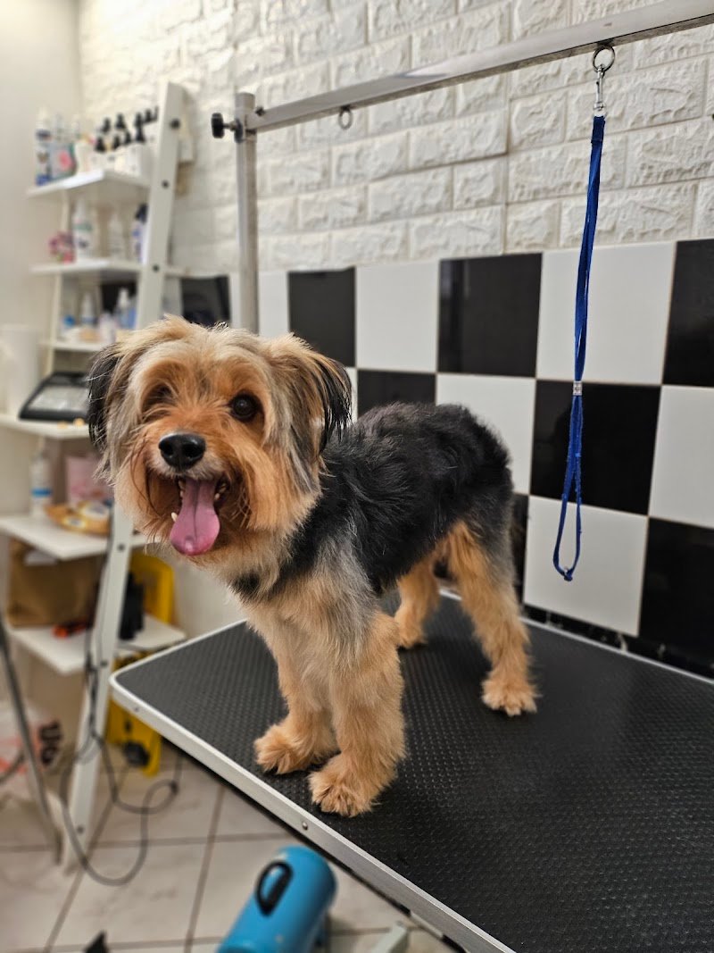 Code Profumate - Foto 5