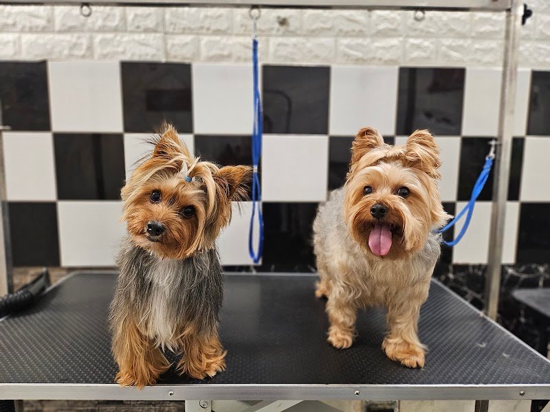 Code Profumate - Foto 6