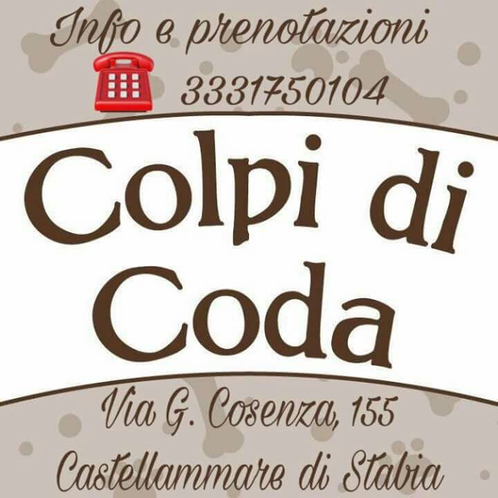 Colpi di Coda di Giovanni Cavaliere - Foto 1