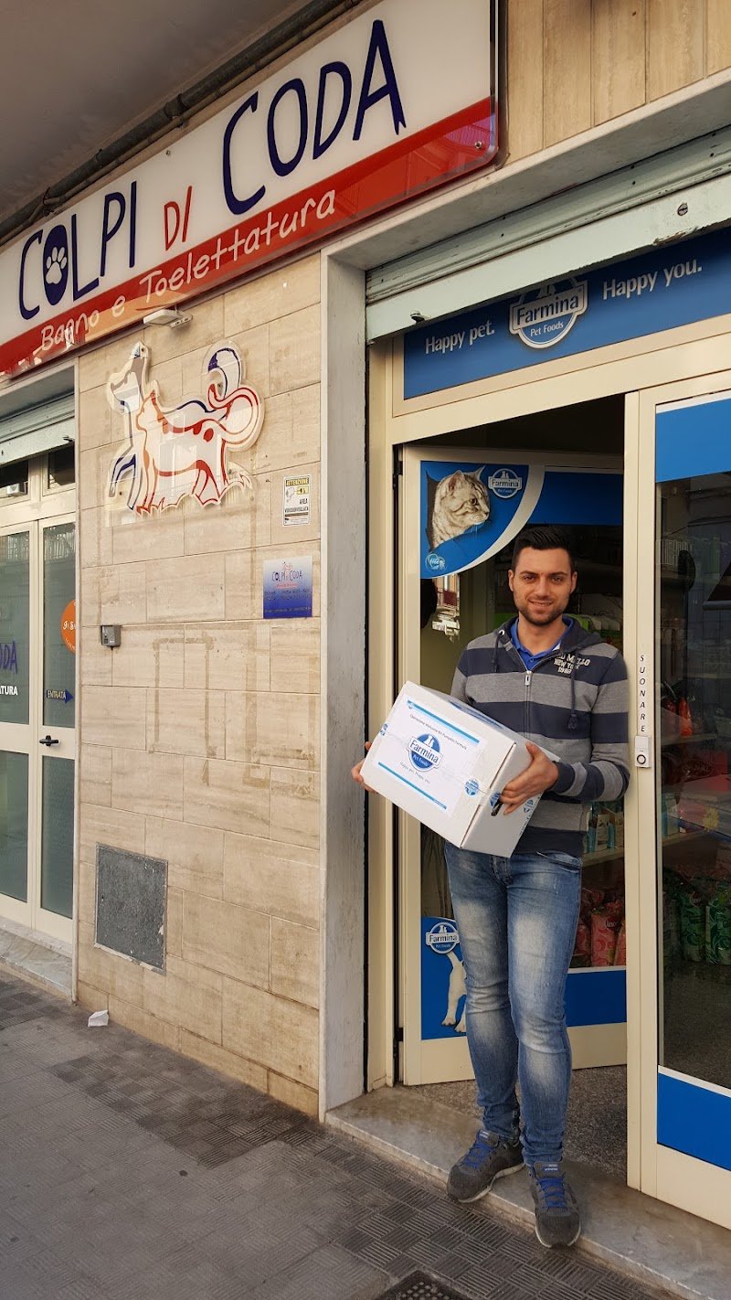 COLPI DI CODA - Foto 1