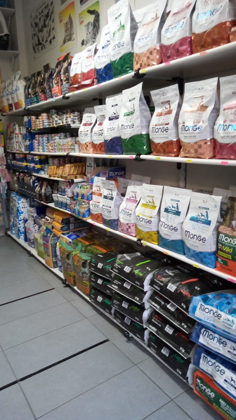 Colpi Di Coda - Foto 1