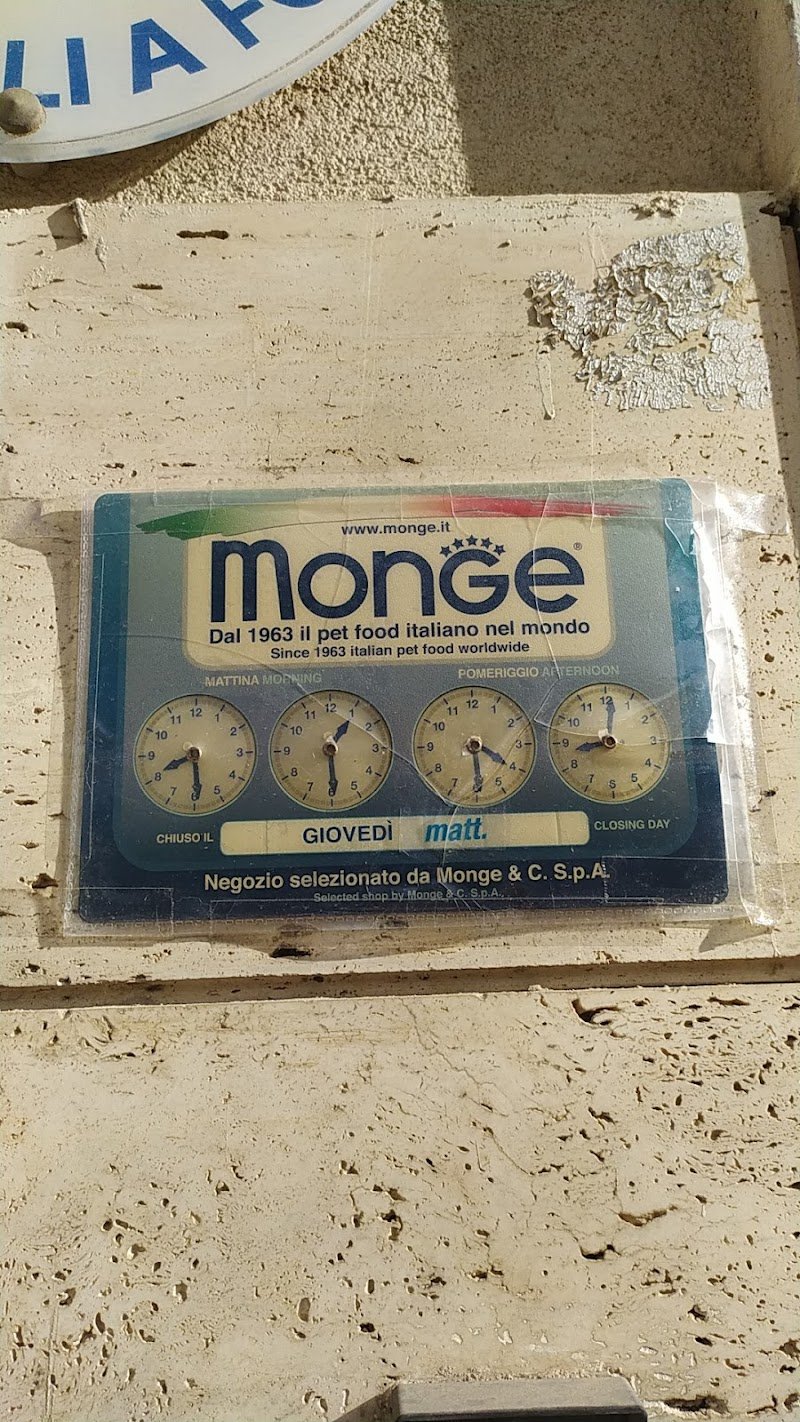 Colpi Di Coda - Foto 5