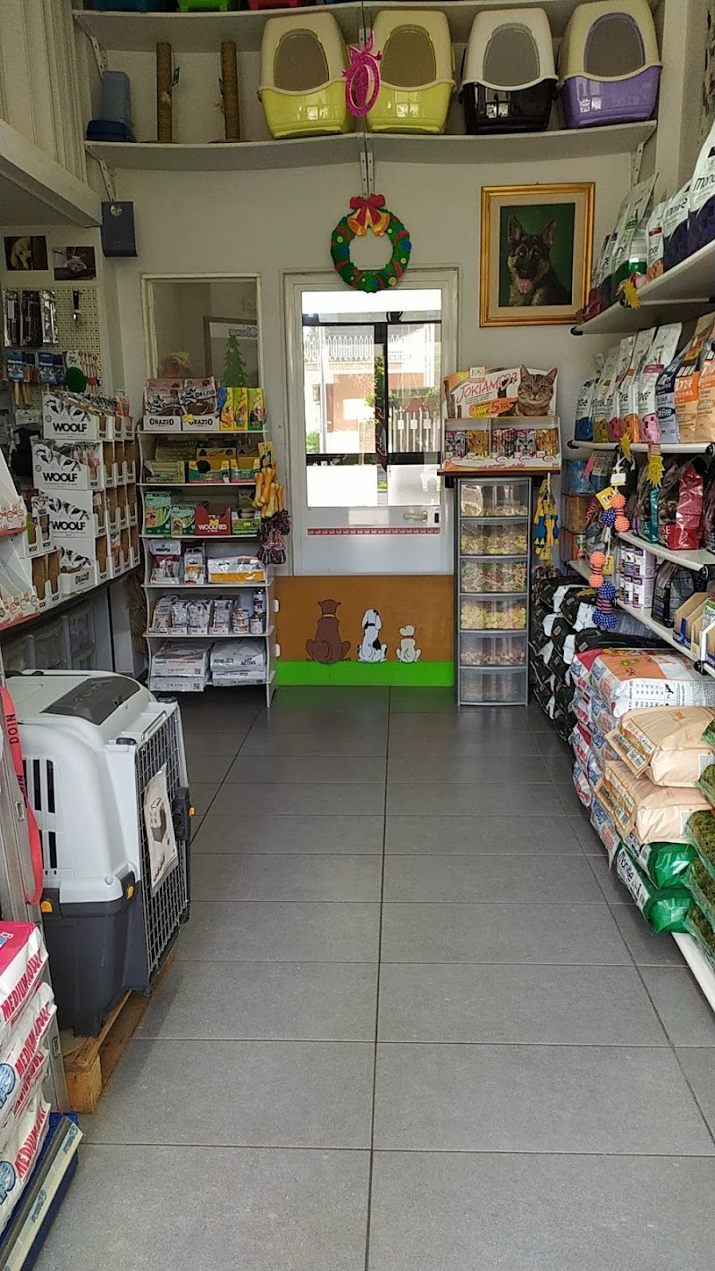 Colpi Di Coda - Foto 6