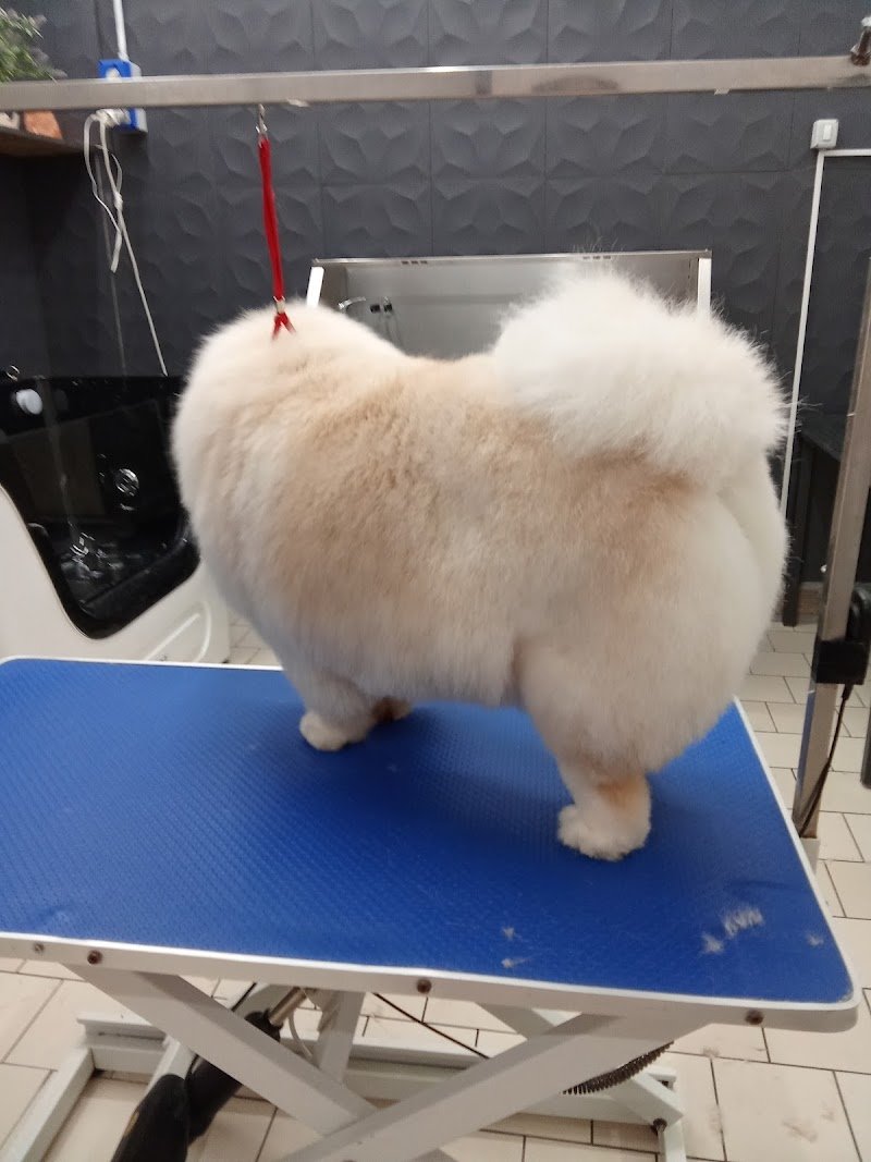 Colpi di coda - Foto 1